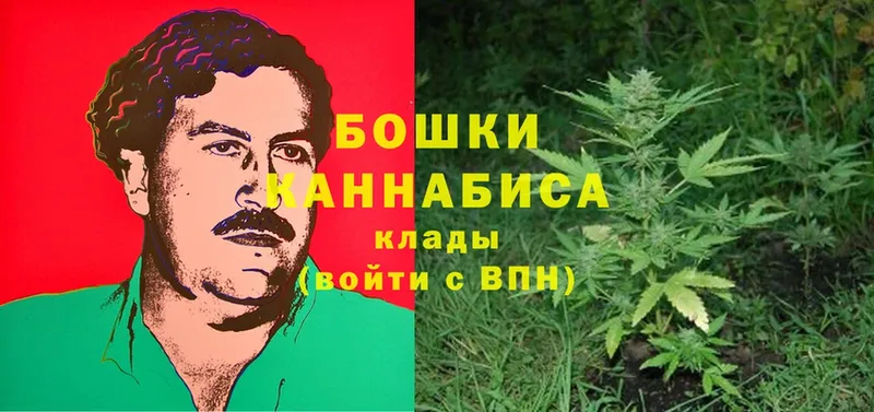 блэк спрут ссылки  Опочка  Бошки марихуана LSD WEED 